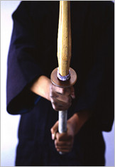 Practice Shinai